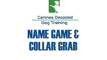 Name Game & Collar Grab Instructional Video